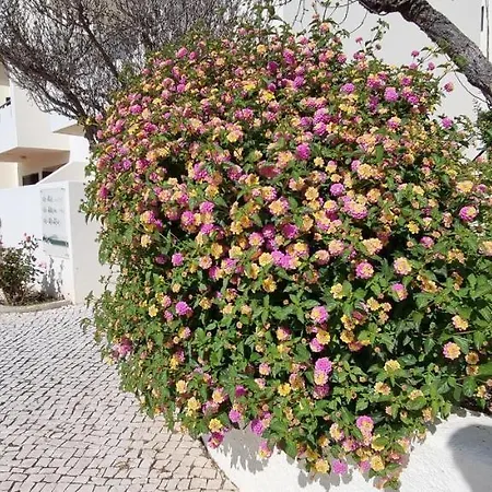 Jardim Апарт-отель 3*