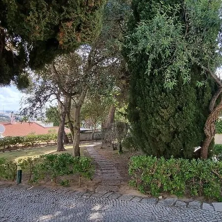 Jardim 3*